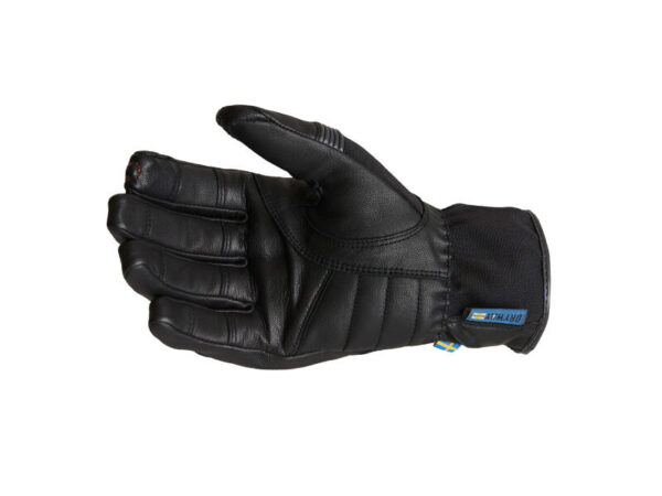 Kindad Halvarssons Ljusdal must/hall - 710-21120109-BG