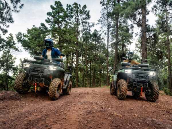 GOES TERROX 550 ATV